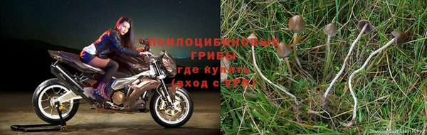 jwh Армянск